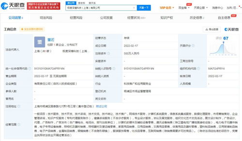信息系统集成服务的深度解析
